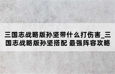 三国志战略版孙坚带什么打伤害_三国志战略版孙坚搭配 最强阵容攻略